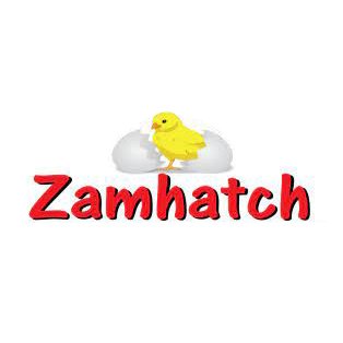 Zamhatch2